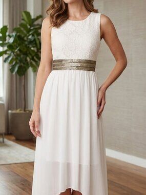 NWT Fashion Love Junior Large dress